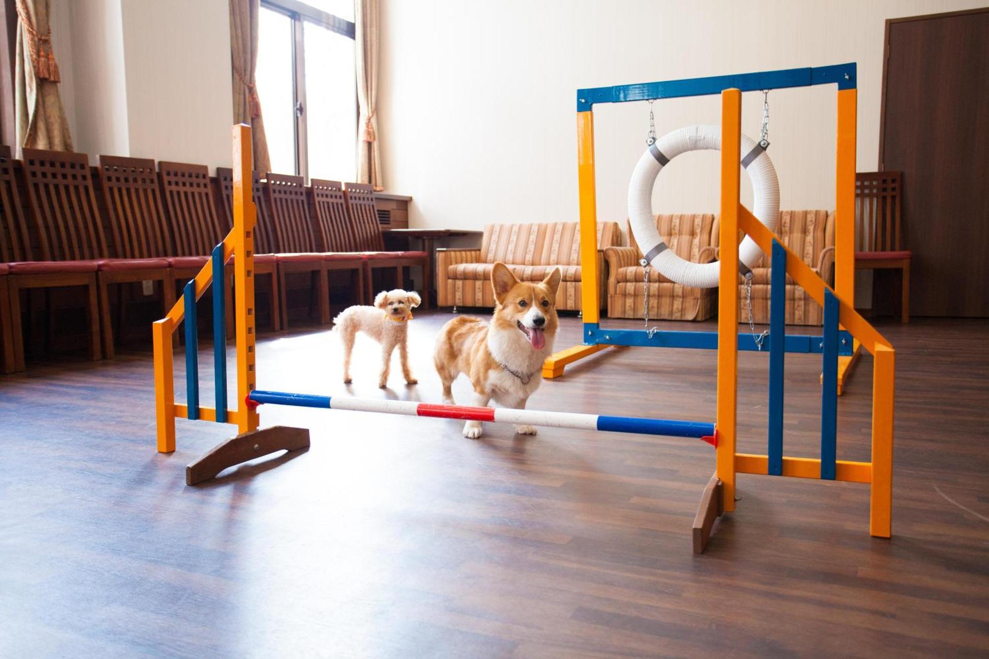 Izumigo Takayama Dog Paradise Hotel Luaran gambar